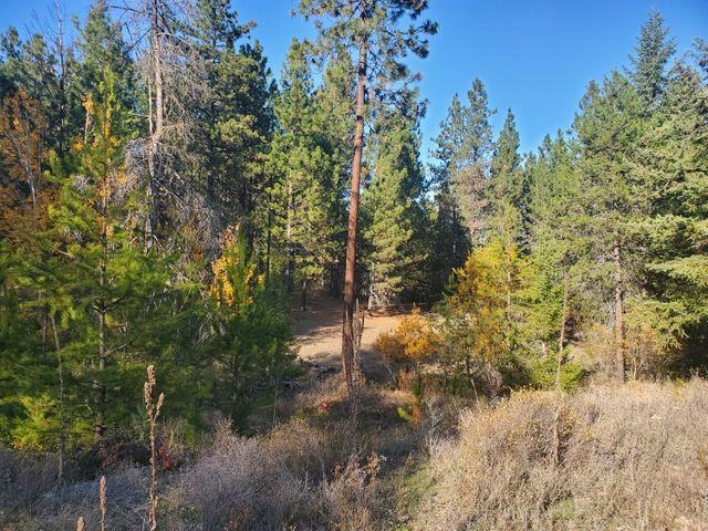 4087 Pine View Way Springdale, WA 99173 - Photo 10 of 12