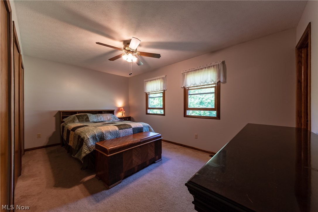 4525 Maple Street Perry, OH 44081 - Photo 19 of 29 Gallery Image 19