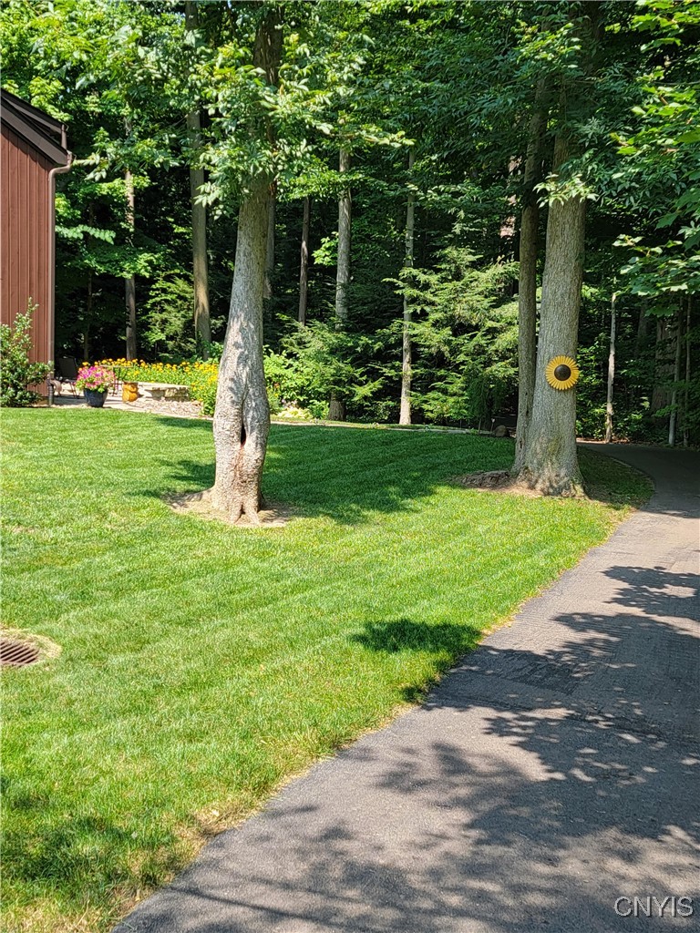 8700 East Patrol Road Lysander, NY 13027 - Photo 32 of 41