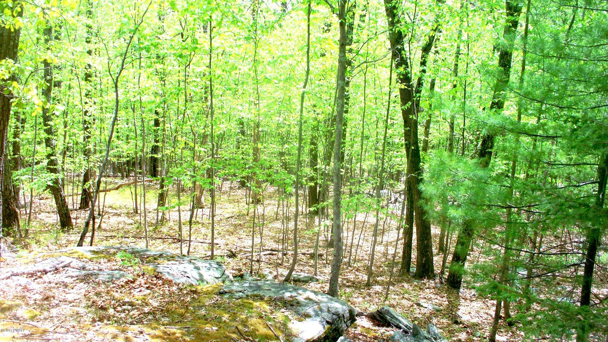 186 Dark Swamp Road Dingmans Ferry, PA 18328 - Photo 11 of 13