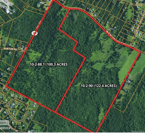 $10,000,000 | 208 Rte, Blooming Grove, NY 10914