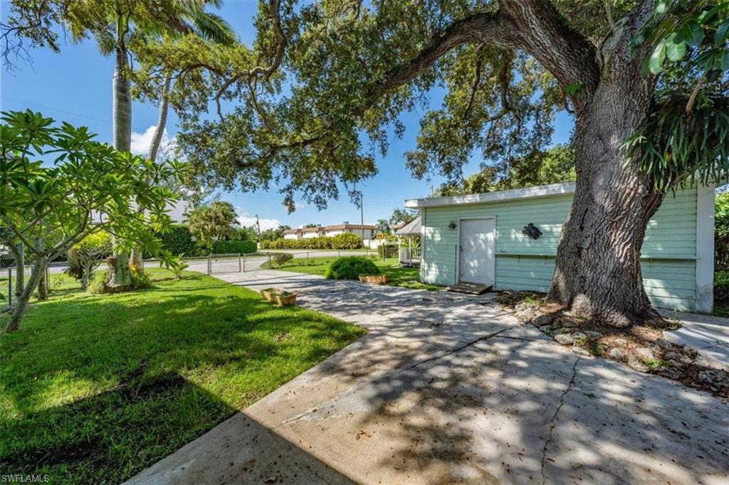 1984 Frederick Street Naples, FL 34112 - Photo 24 of 25 a view of a yard with plants and a large tree