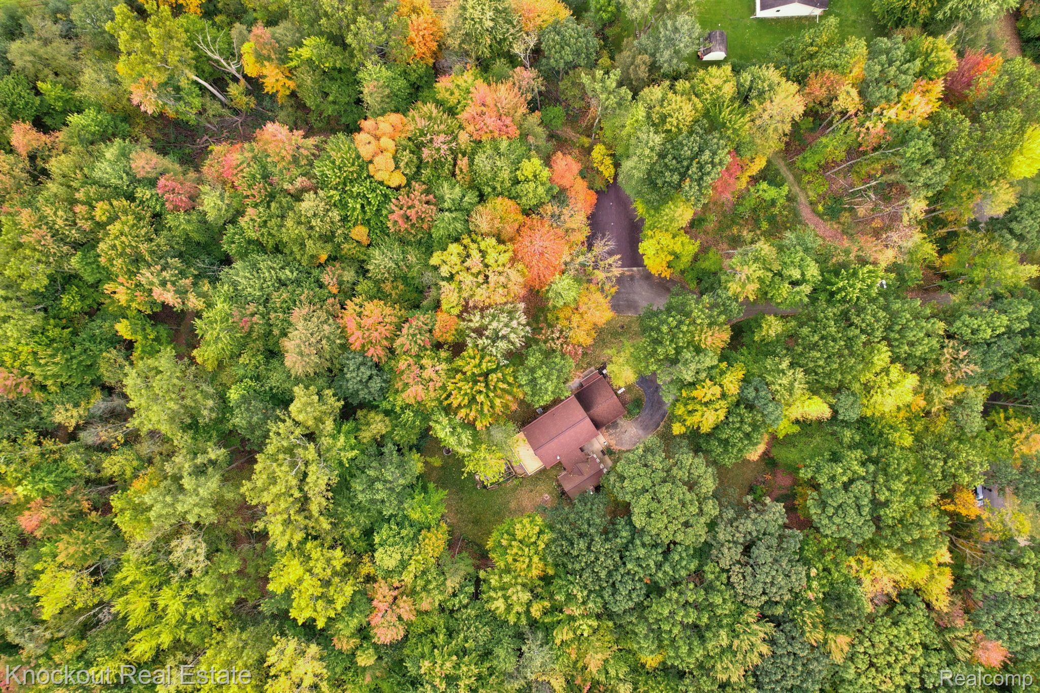 7788 Rookway Road Bridgeport, MI 48722 - Photo 64 of 69 Gallery Image 64