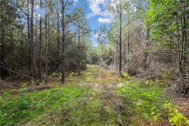 $119,900 | 0 Highway 62, Angie, LA 70426