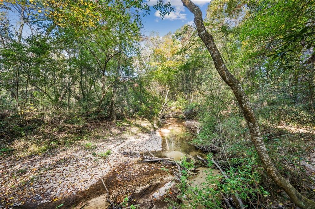 0 Highway 62 Angie, LA 70426 - Photo 12 of 16