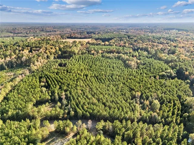 $119,900 | 0 Highway 62, Angie, LA 70426