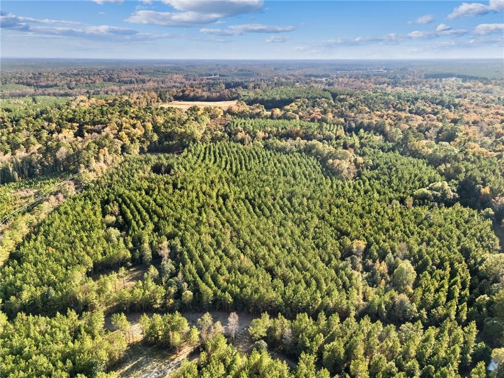 0 Highway 62 Angie, LA 70426 - Photo 13 of 16