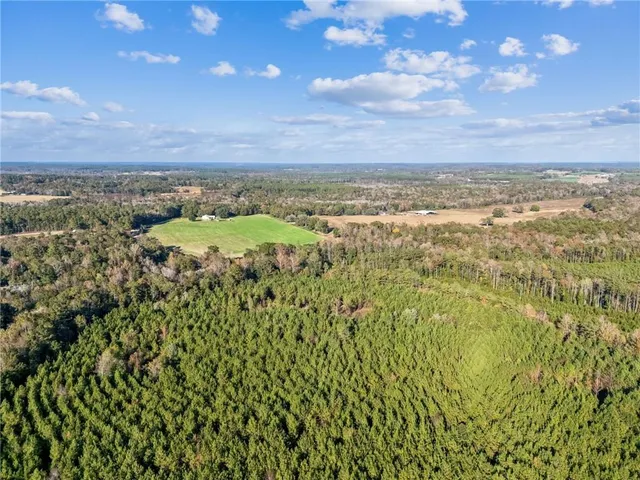 $119,900 | 0 Highway 62, Angie, LA 70426