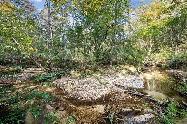 $119,900 | 0 Highway 62, Angie, LA 70426