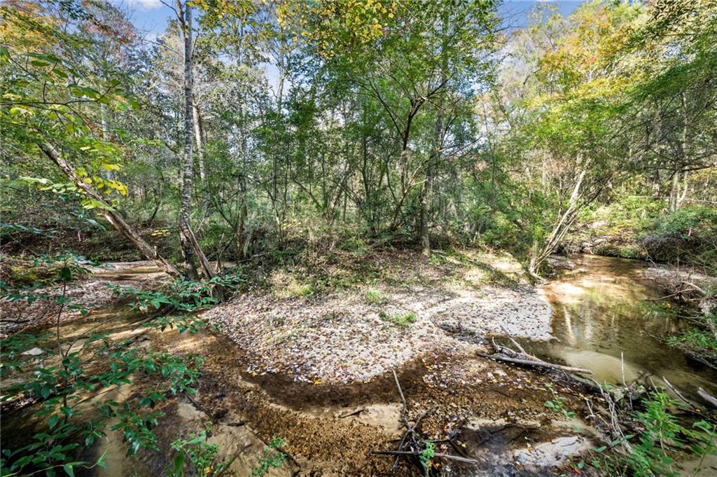 0 Highway 62 Angie, LA 70426 - Photo 4 of 16