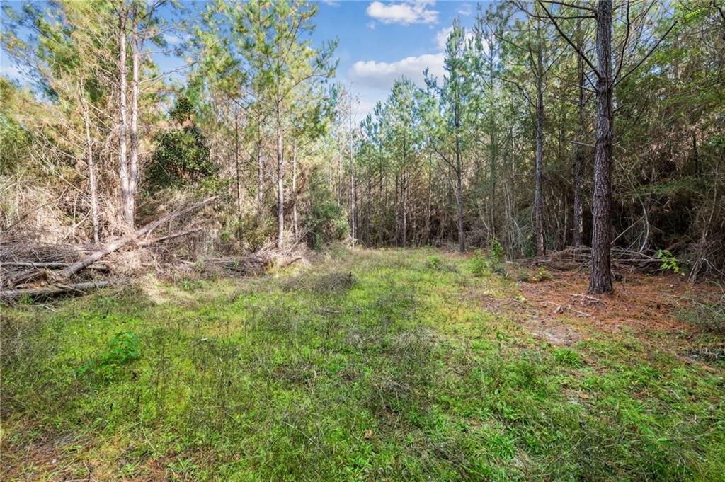 0 Highway 62 Angie, LA 70426 - Photo 8 of 16