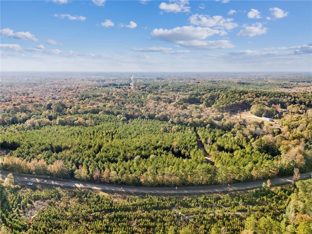 0 Highway 62 Angie, LA 70426 - Photo 9 of 16