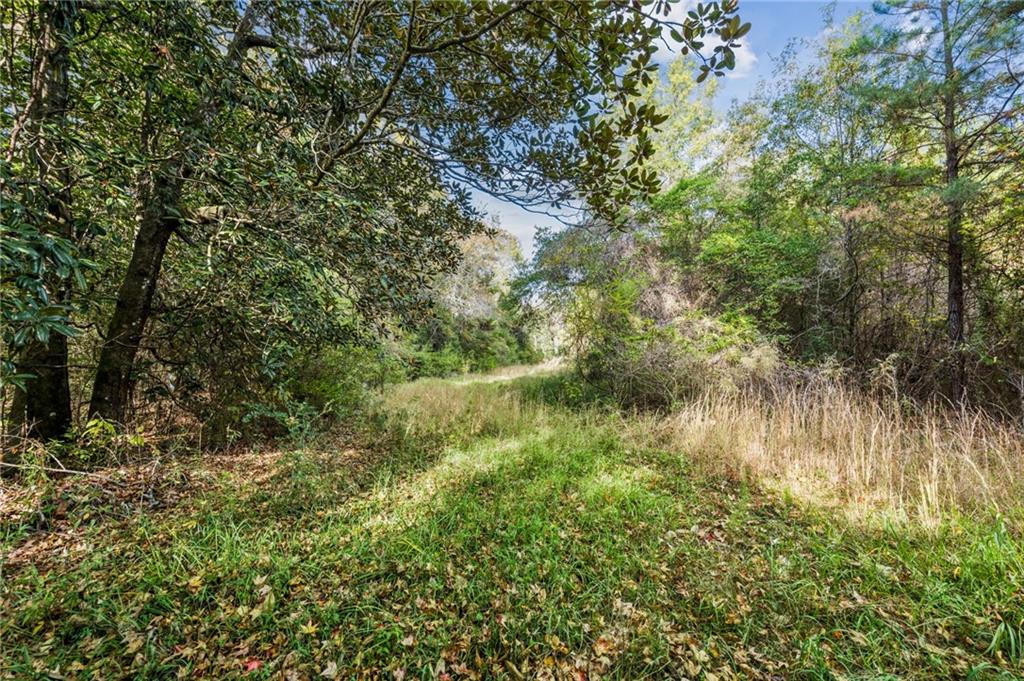 0 Highway 62 Angie, LA 70426 - Photo 10 of 16