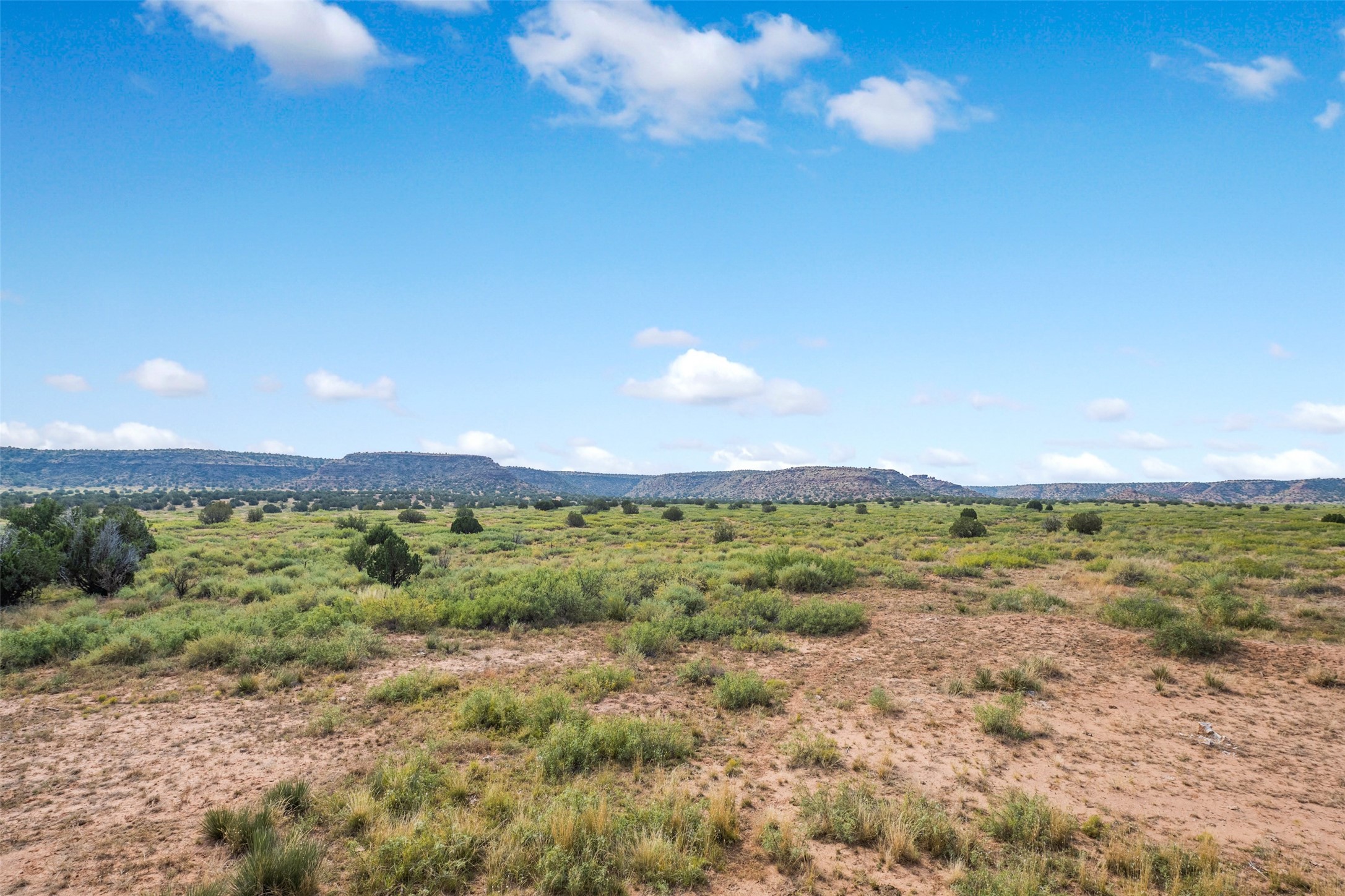 1019 Paisano Road Santa Rosa, NM 88435 - Photo 56 of 66