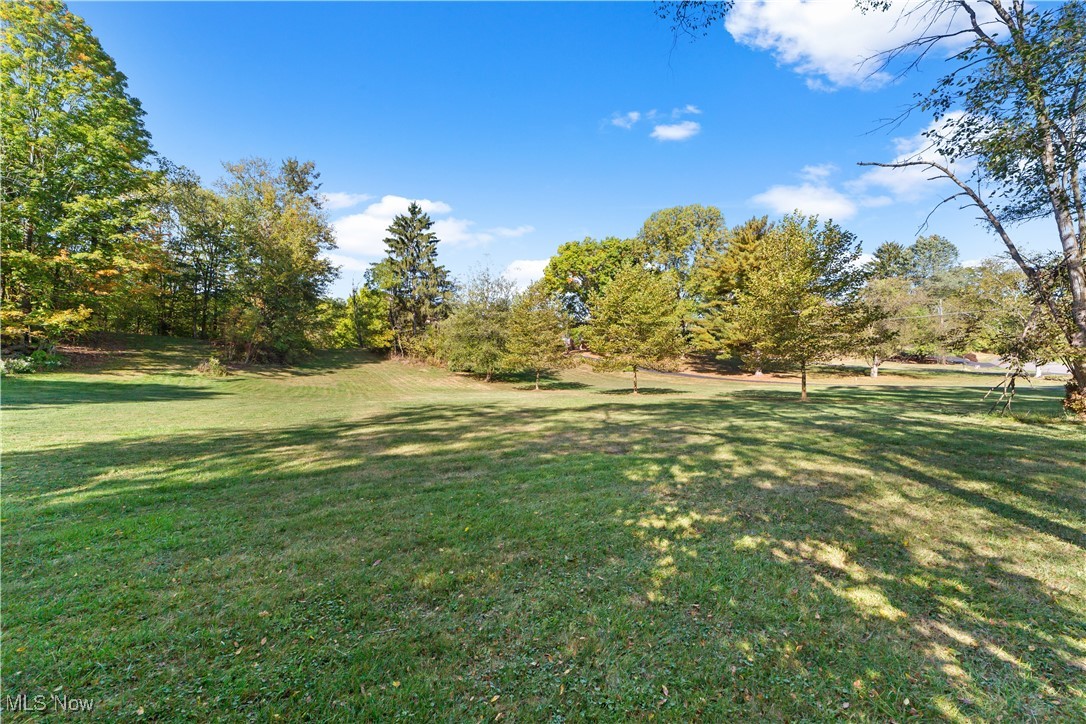5588 River Styx Road Medina, OH 44256 - Photo 35 of 50 View of yard