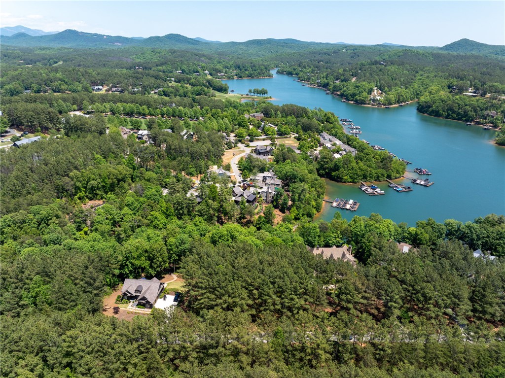 113 Sunrise Ridge Sunset, SC 29685 - Photo 13 of 14 This aerial view showcases a vibrant waterfront community of Old Edwards at Lake Keowee.
