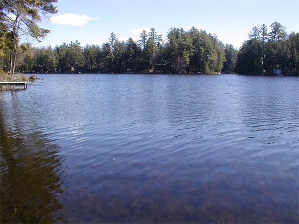 52 Bray Road Chesterfield, MA 01012 - Photo 1 of 2