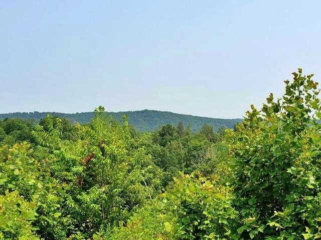 169 County Road 188 Decatur, TN 37322 - Photo 18 of 24