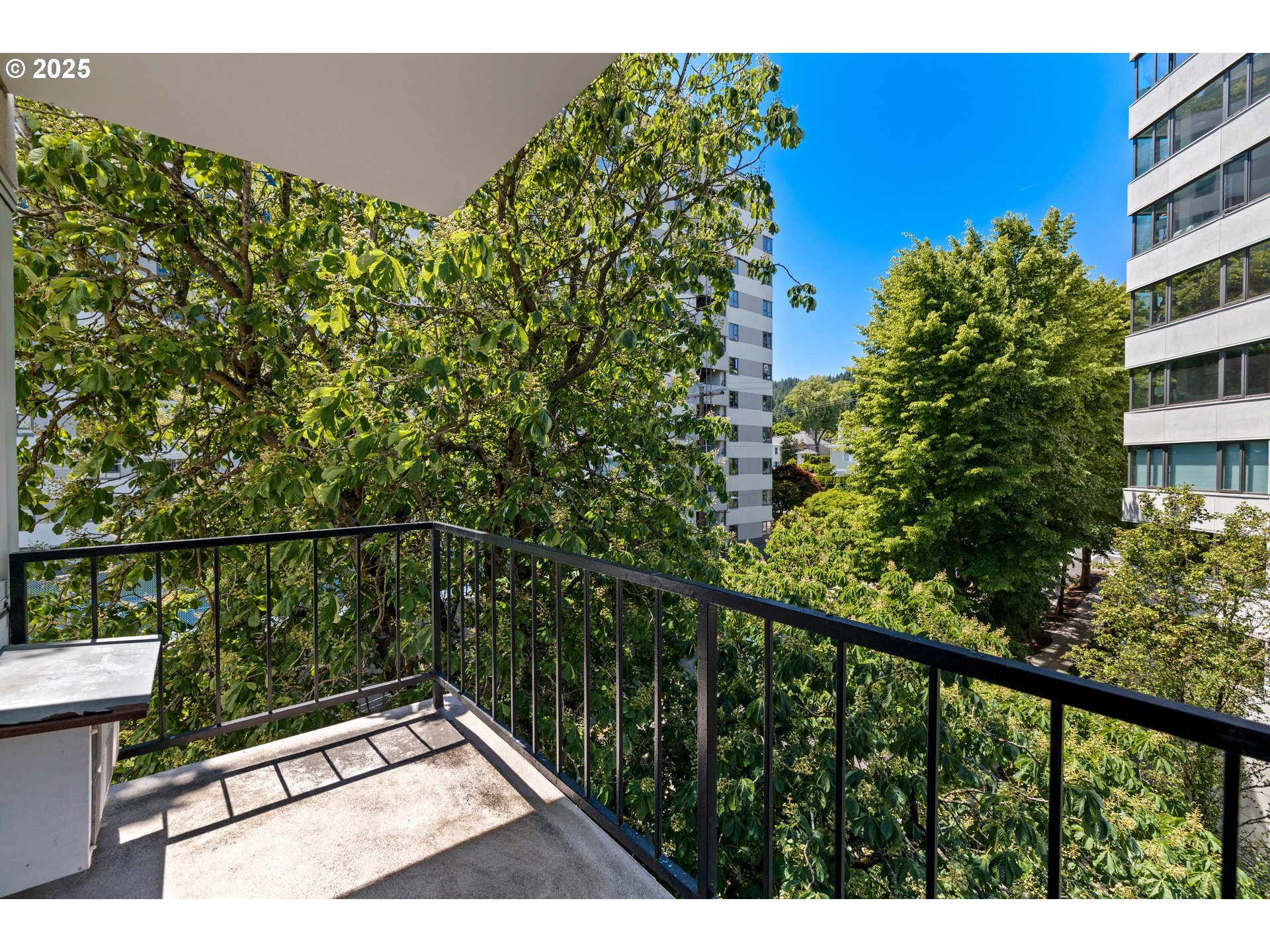 2211 Southwest Park Place, Unit 603 Portland, OR 97205 - Photo 16 of 27 a view of balcony with small garden