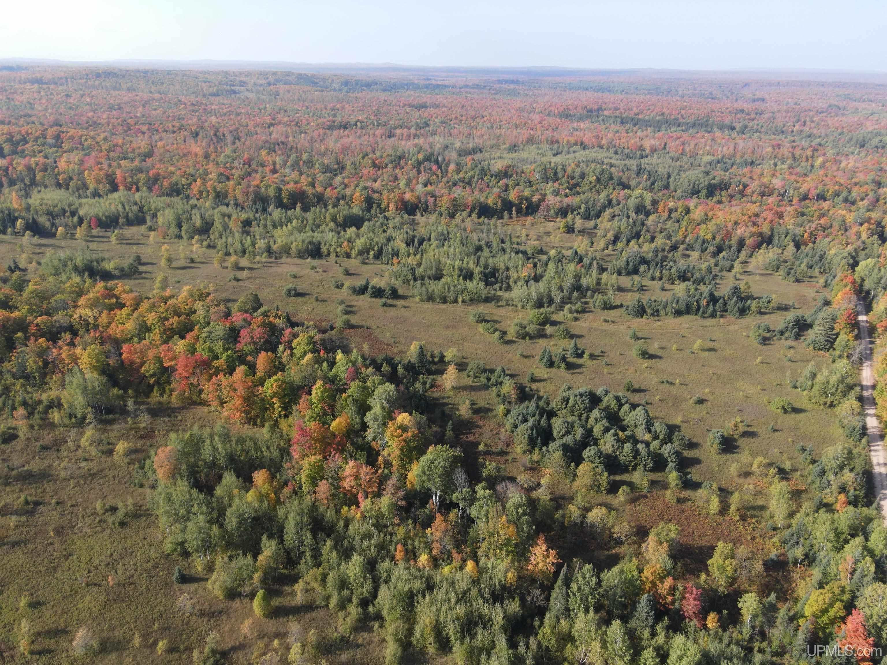 Tbd Newberry Road Nisula, MI 49952 - Photo 11 of 24 Gallery Image 11