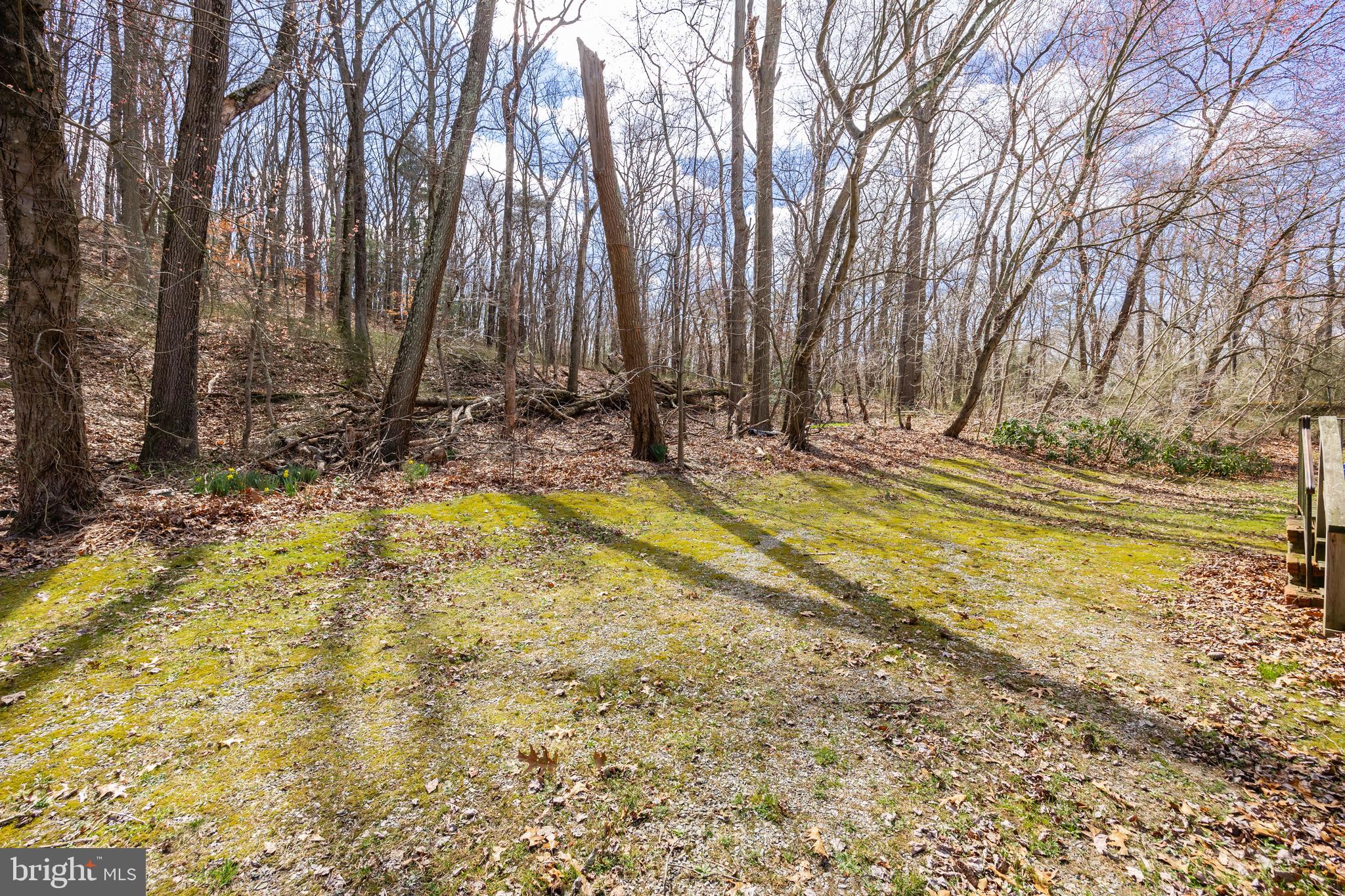 212 Juliustown Road Columbus, NJ 08022 - Photo 22 of 23