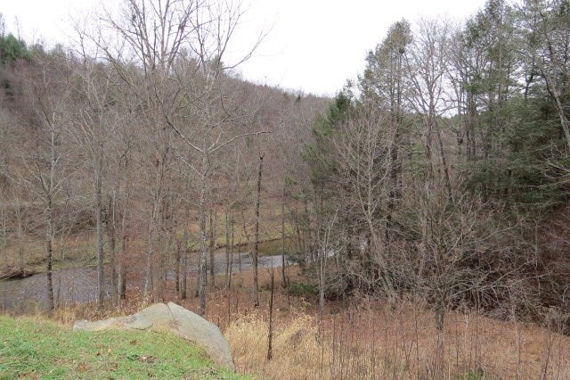 Tbd Pridemoore Road, Unit 2 Galax, VA 24333 - Photo 20 of 72 Gallery Image 20