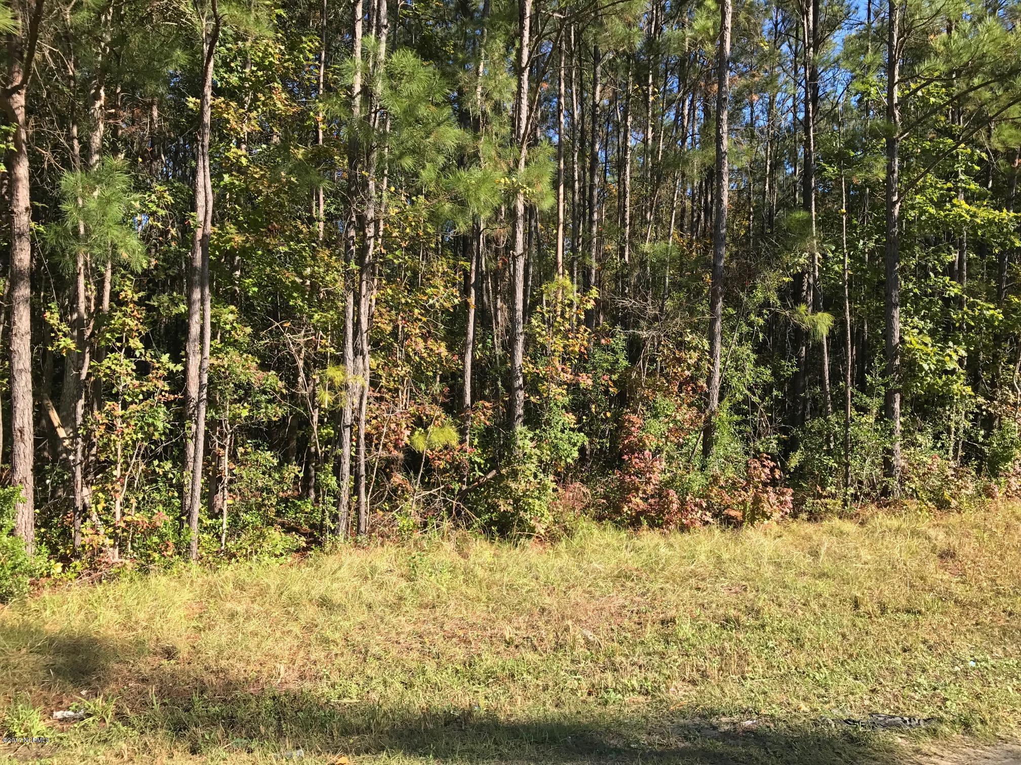 2 Benton Road Southeast Bolivia, NC 28422 - Photo 1 of 6 5