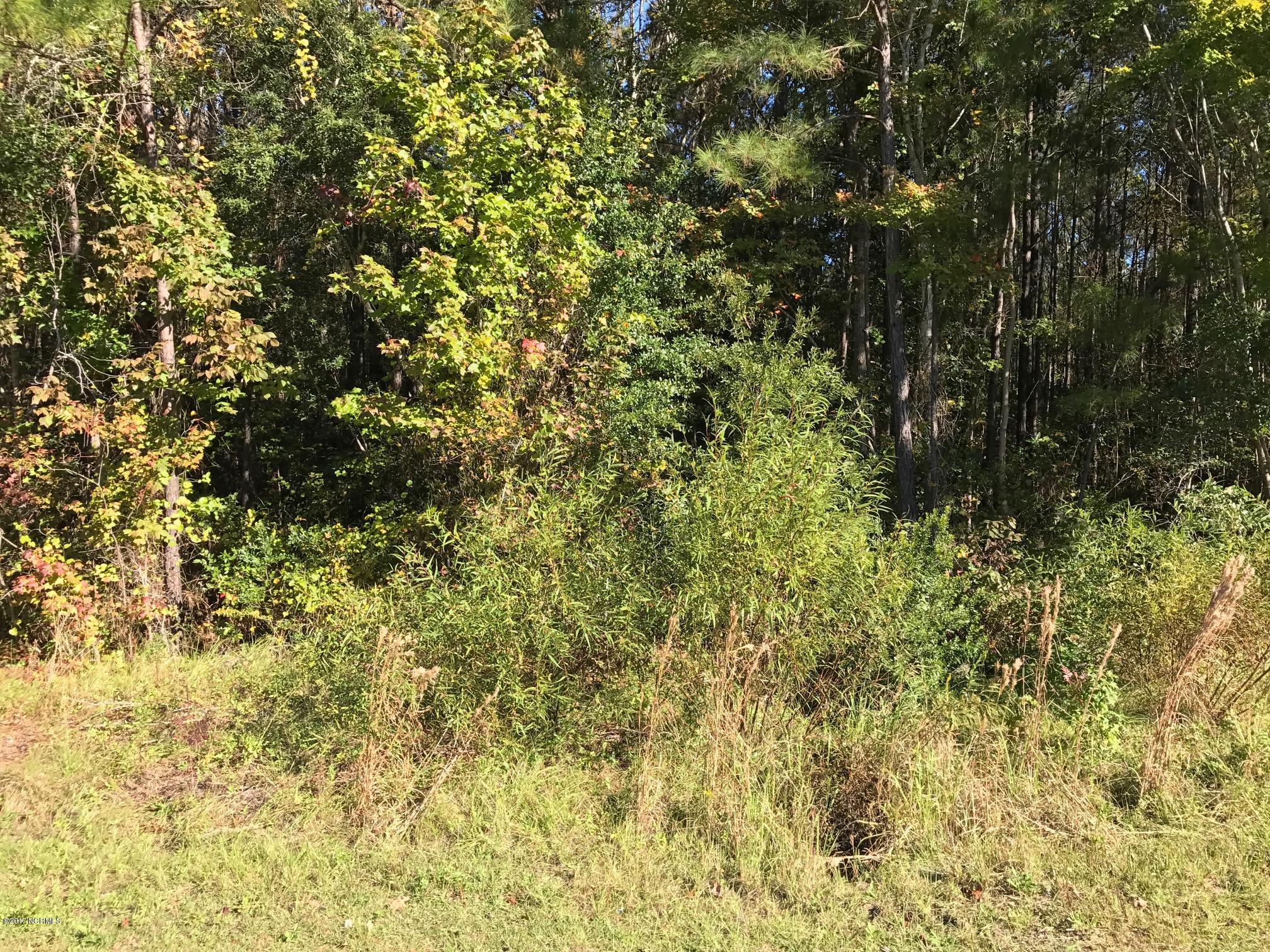 2 Benton Road Southeast Bolivia, NC 28422 - Photo 3 of 6 1