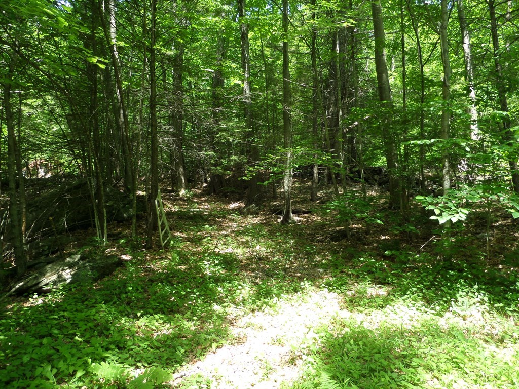 0 Smith Road Huntington, MA 01050 - Photo 1 of 4 Gallery Image 1
