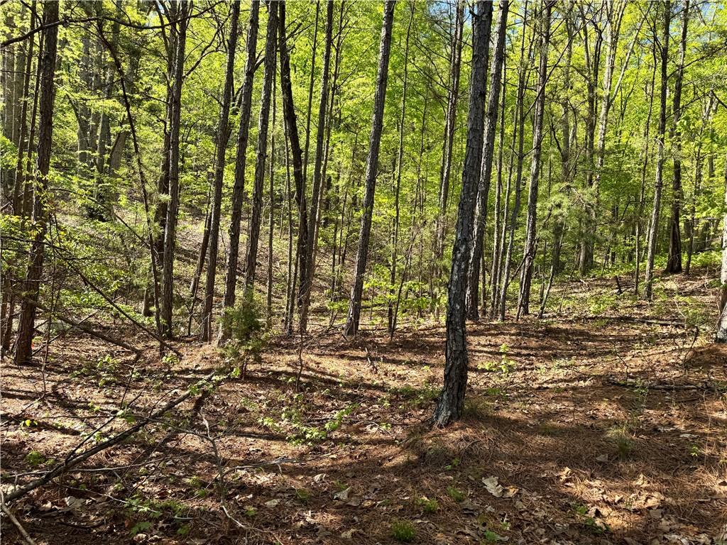 999 Grassdale Road Northwest Cartersville, GA 30121 - Photo 45 of 54 a view of a yard with plants and trees