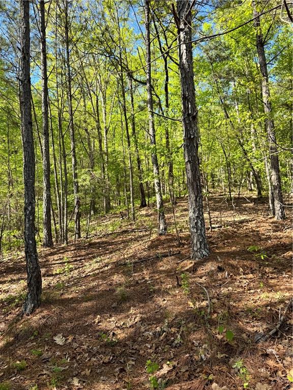 999 Grassdale Road Northwest Cartersville, GA 30121 - Photo 46 of 54 a view of yard with trees