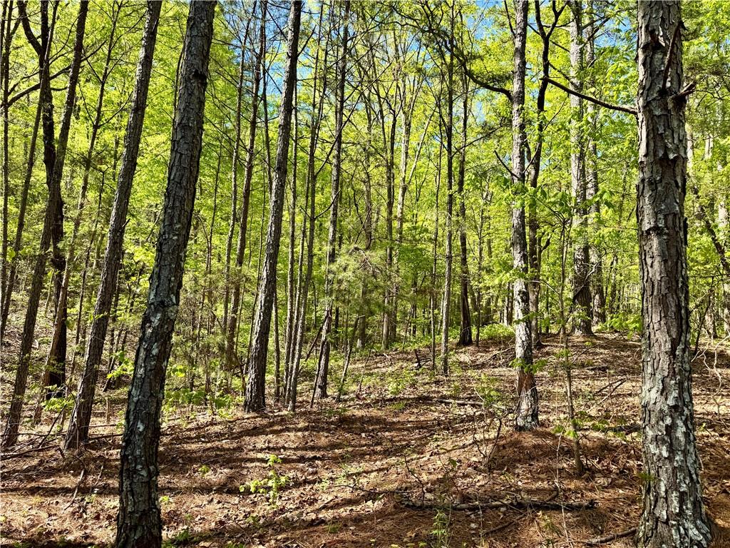 999 Grassdale Road Northwest Cartersville, GA 30121 - Photo 47 of 54 a view of outdoor space and a yard