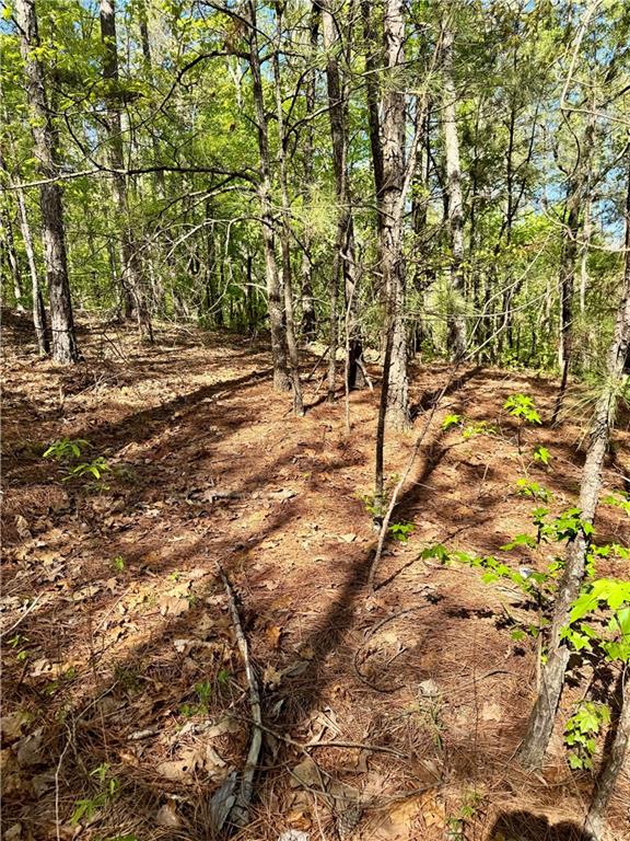 999 Grassdale Road Northwest Cartersville, GA 30121 - Photo 48 of 54 a view of outdoor space with a yard
