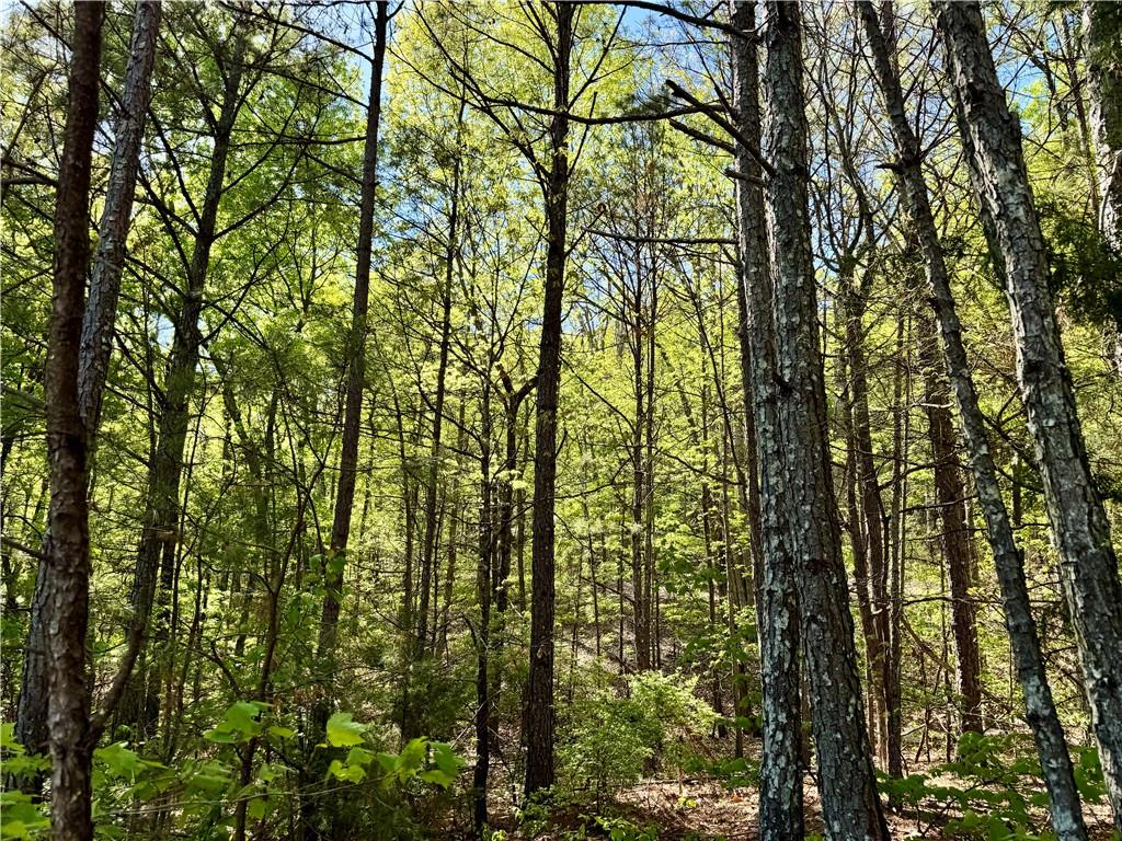 999 Grassdale Road Northwest Cartersville, GA 30121 - Photo 49 of 54