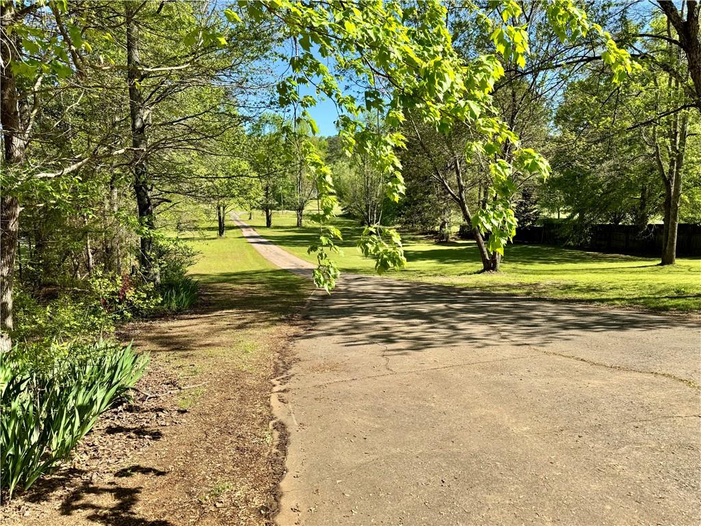 999 Grassdale Road Northwest Cartersville, GA 30121 - Photo 52 of 54 a view of a yard with plants and trees
