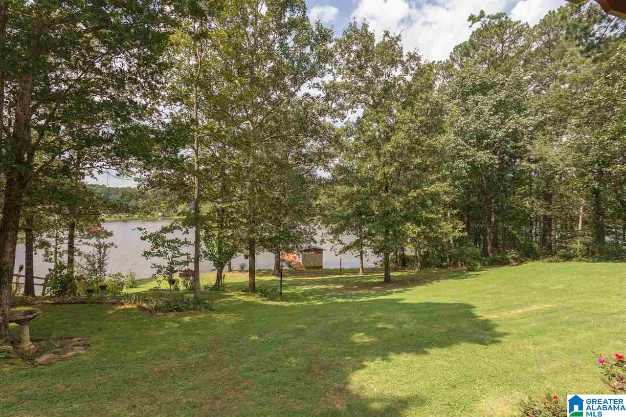 59 Lakeview Drive Oneonta, AL 35121 - Photo 37 of 49