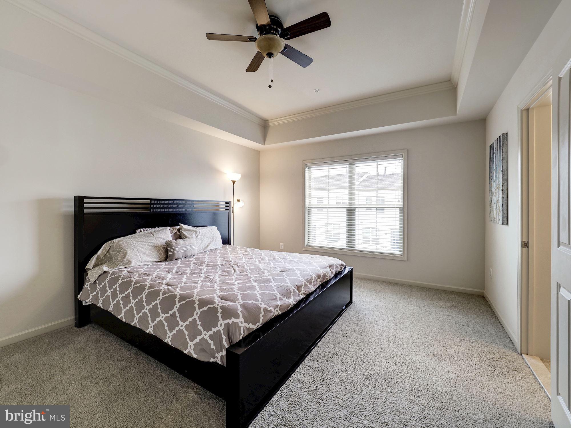 14052 Wellspring Avenue Clarksburg, MD 20871 - Photo 8 of 21 Master with vaulted, tray ceiling