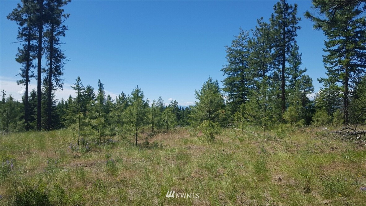 23 Spur Road Tonasket, WA 98855 - Photo 17 of 20 Gallery Image 17