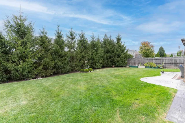 a view of a field with a tree in the background
