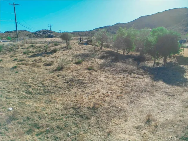 a view of a yard with wooden stairs