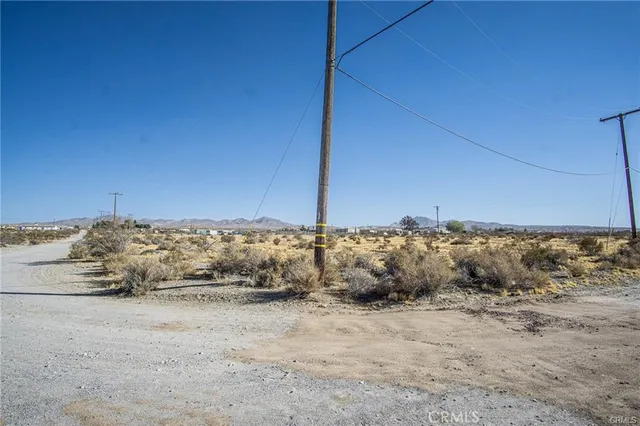 a view of a dry yard