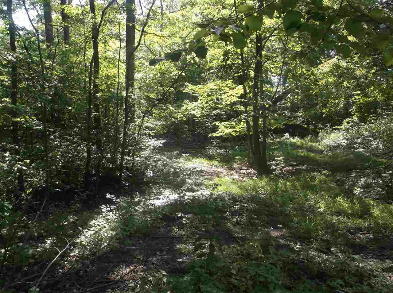 9514 Trentman Road Fort Wayne, IN 46816 - Photo 10 of 11 Gallery Image 10