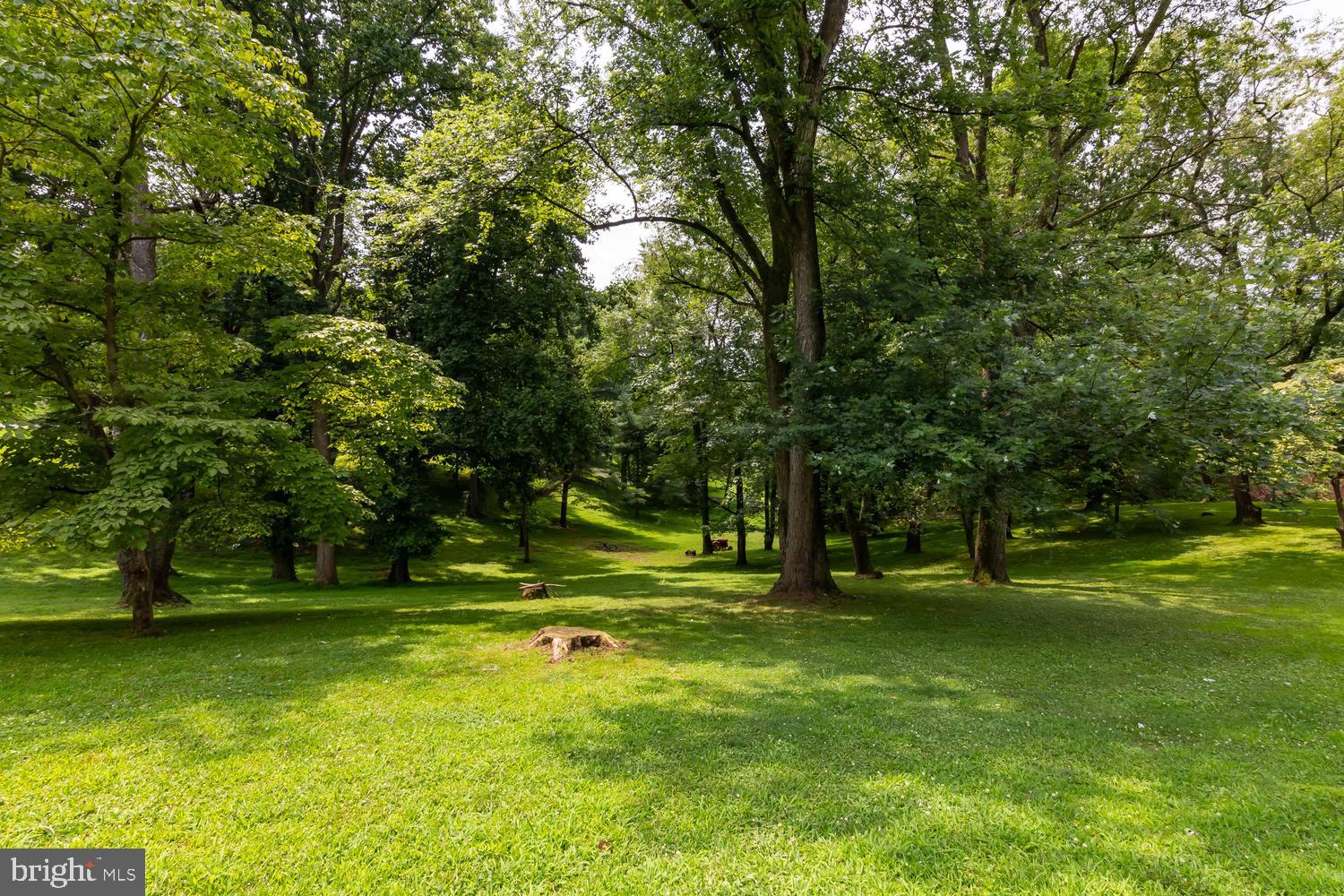260 Buttonwood Road Landenberg, PA 19350 - Photo 44 of 44 Surrounded by nature!