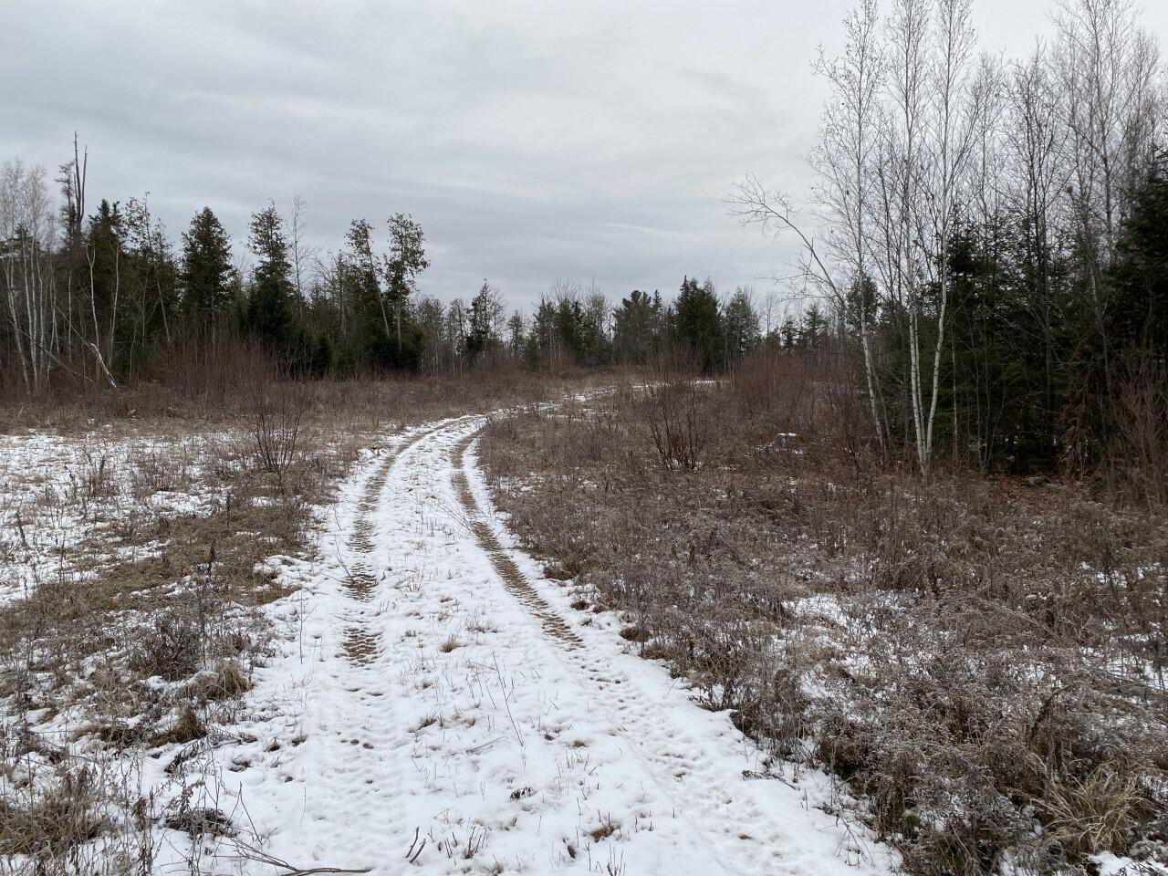 Lot 32-2 Bog Road Troy, ME 04987 - Photo 4 of 7 Open area near middle of property