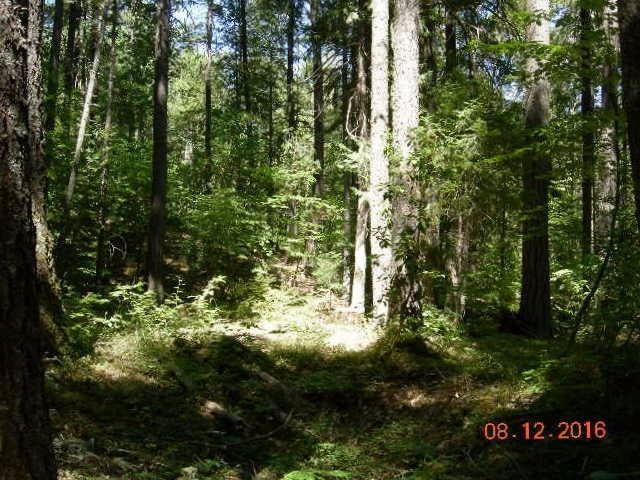 1400 Bull Creek Road Grants Pass, OR 97527 - Photo 20 of 24 Additional Photo