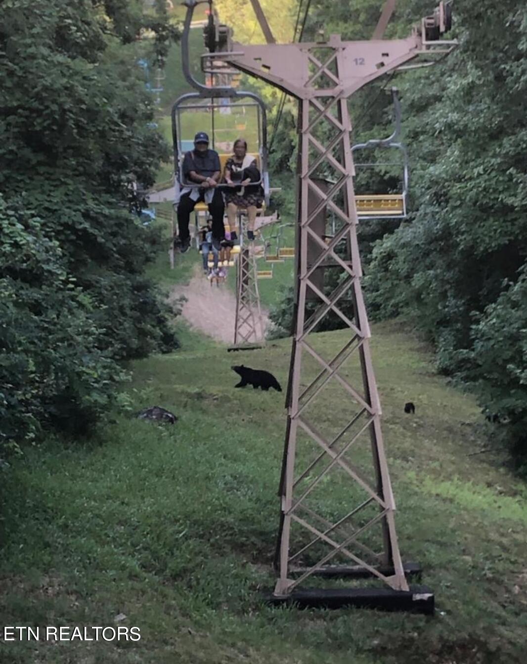 354 East Holly Ridge Road, Unit 606 Gatlinburg, TN 37738 - Photo 38 of 46 Ober Gatlinburg Bears Chairlift