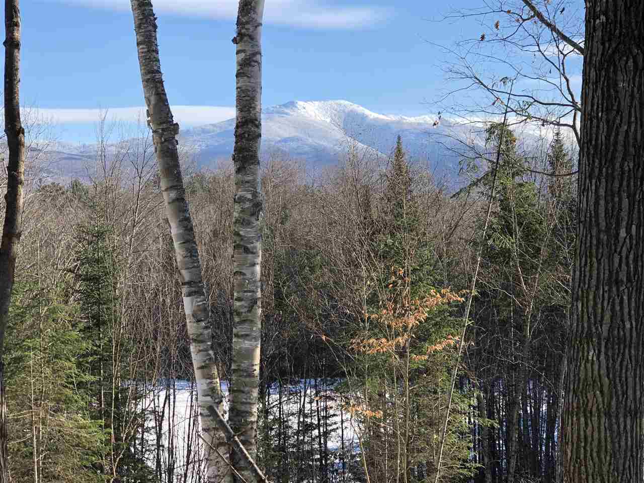 Forest Road Franconia, NH 03580 - Photo 2 of 22