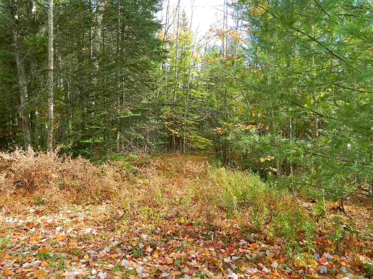 Forest Road Franconia, NH 03580 - Photo 14 of 22