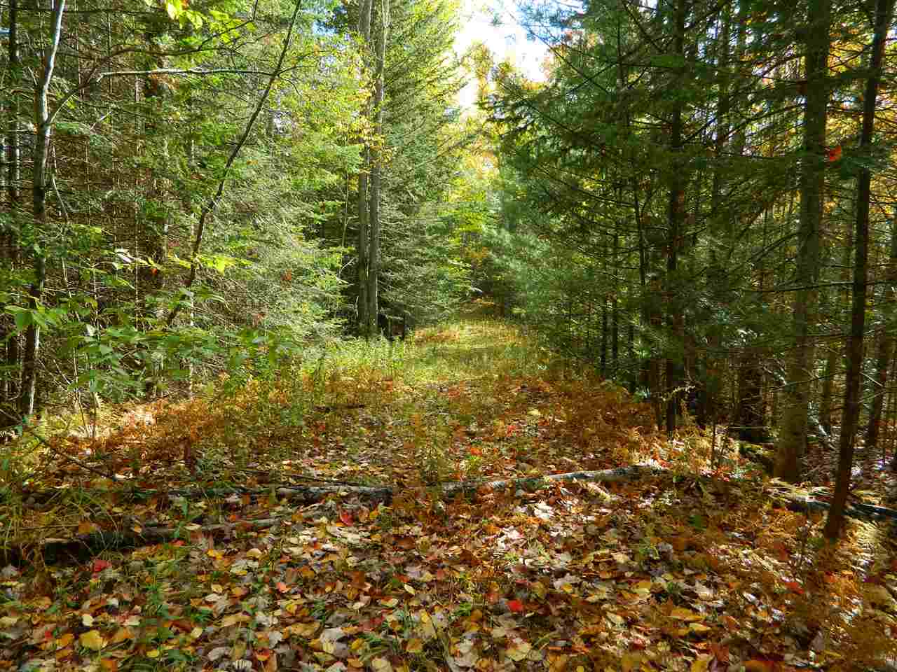 Forest Road Franconia, NH 03580 - Photo 16 of 22