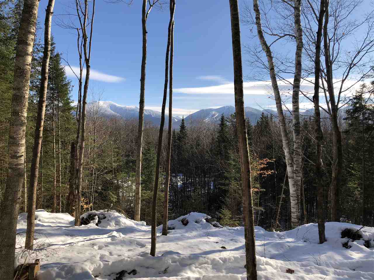 Forest Road Franconia, NH 03580 - Photo 3 of 22